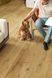 Quick Step Impressive 8256 Дуб Трюфель