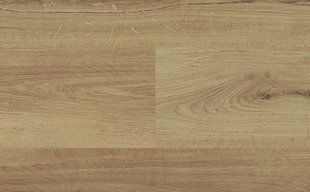 Novocore Eternal Gluedown Silver Oak, за м2