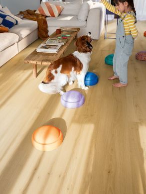 Quick Step Bloom 40318 Дуб шліфований медовий, за м2