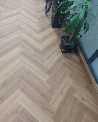 Quick Step Ciro 40364 Дуб Ботанічний Карамельний, за м2