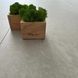 Falquon The Floor Stone P3002 Веллуто фото 1