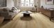 Novocore Eternal Gluedown Canyon Oak, за м2