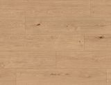 Krono Original Atlantic 8 К850 Дуб Монтанара Дымчатый, за м2