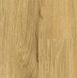 Falquon The Floor Wood P7001 Дуб Медовий фото 1