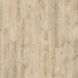 IVC Roots 87269 Galway Oak
