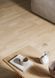 Berry Alloc Original Core Klint Oak, за м2