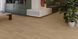 Invictus Maximus Wood DB Velvet Oak Celeste, за м2